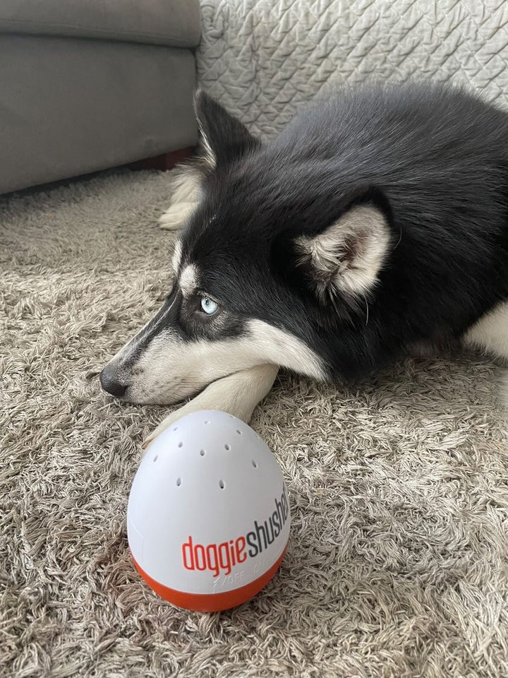 Doggie Shusher - Portable Dog Calming Machine