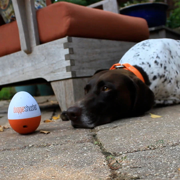 Doggie Shusher - Portable Dog Calming Machine