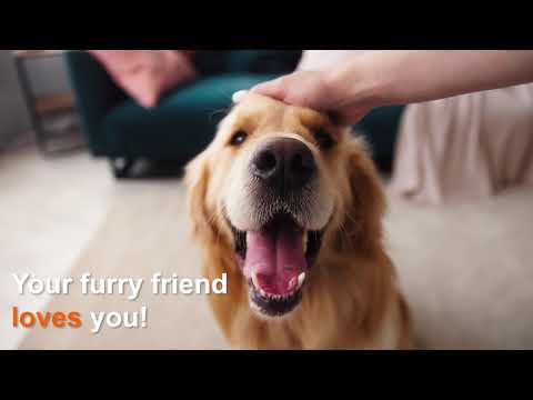 Doggie Shusher - Portable Dog Calming Machine