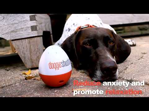 Doggie Shusher - Portable Dog Calming Machine