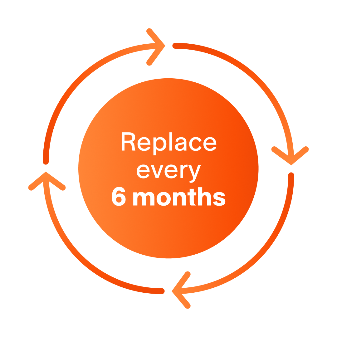 It's advised to replace this product every 6 months to achieve best results